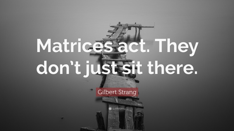Gilbert Strang Quote: “Matrices act. They don’t just sit there.”