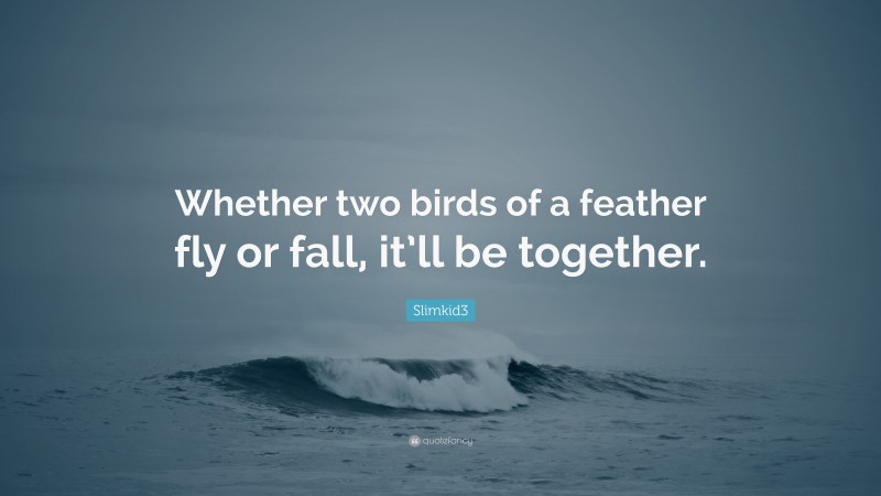 Slimkid3 Quote: “Whether two birds of a feather fly or fall, it’ll be together.”