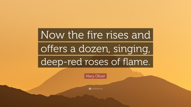 Mary Oliver Quote: “Now the fire rises and offers a dozen, singing, deep-red roses of flame.”