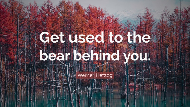 Werner Herzog Quote: “Get used to the bear behind you.”