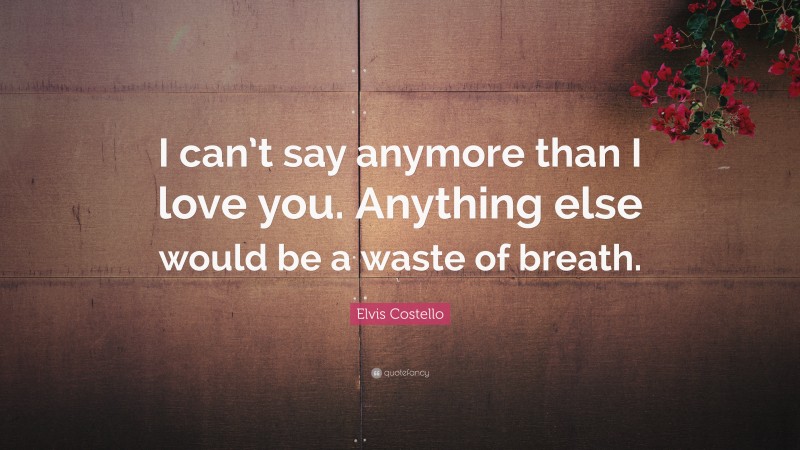 Elvis Costello Quote: “I can’t say anymore than I love you. Anything else would be a waste of breath.”