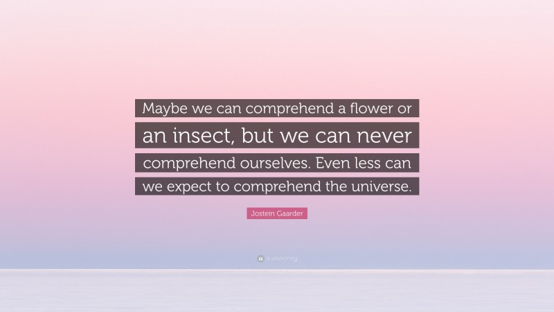 Jostein Gaarder Quote: “Maybe we can comprehend a flower or an insect, but we can never comprehend ourselves. Even less can we expect to comprehend the universe.”