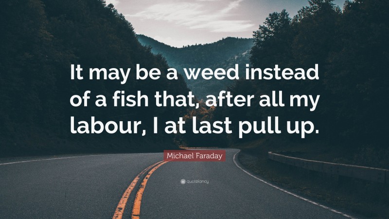 Michael Faraday Quote: “It may be a weed instead of a fish that, after all my labour, I at last pull up.”