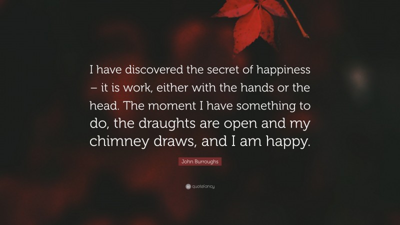 John Burroughs Quote: “I have discovered the secret of happiness – it is work, either with the hands or the head. The moment I have something to do, the draughts are open and my chimney draws, and I am happy.”