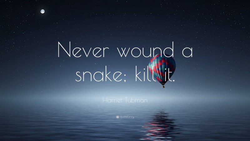 Harriet Tubman Quote: “Never wound a snake; kill it.”