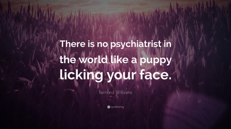 Bernard Williams Quote: “There is no psychiatrist in the world like a puppy licking your face.”