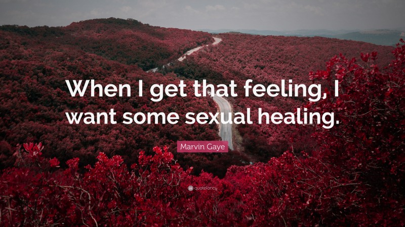 Marvin Gaye Quote: “When I get that feeling, I want some sexual healing.”