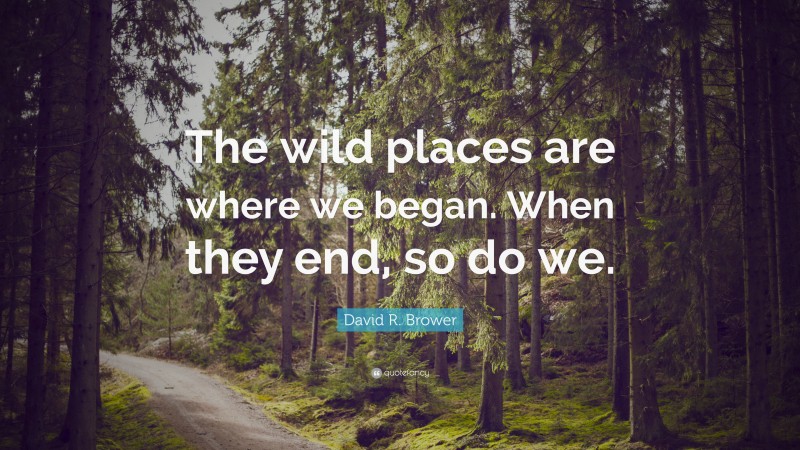 David R. Brower Quote: “The wild places are where we began. When they end, so do we.”