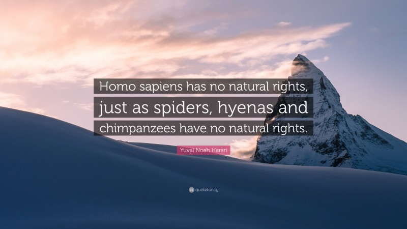 Yuval Noah Harari Quote: “Homo sapiens has no natural rights, just as spiders, hyenas and chimpanzees have no natural rights.”