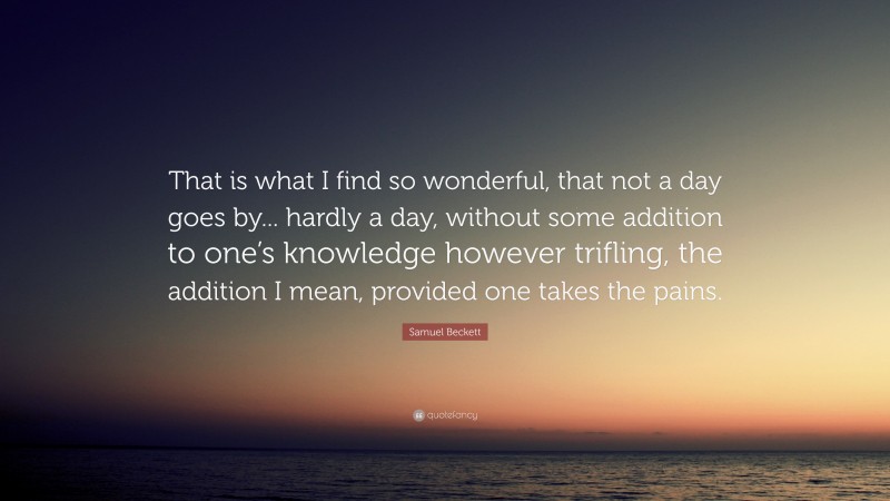Samuel Beckett Quote: “That is what I find so wonderful, that not a day goes by... hardly a day, without some addition to one’s knowledge however trifling, the addition I mean, provided one takes the pains.”