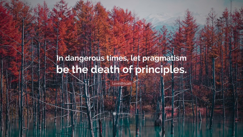 LovesBitca8 Quote: “In dangerous times, let pragmatism be the death of principles.”