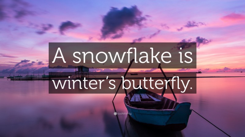 “A snowflake is winter’s butterfly.” — Desktop Wallpaper