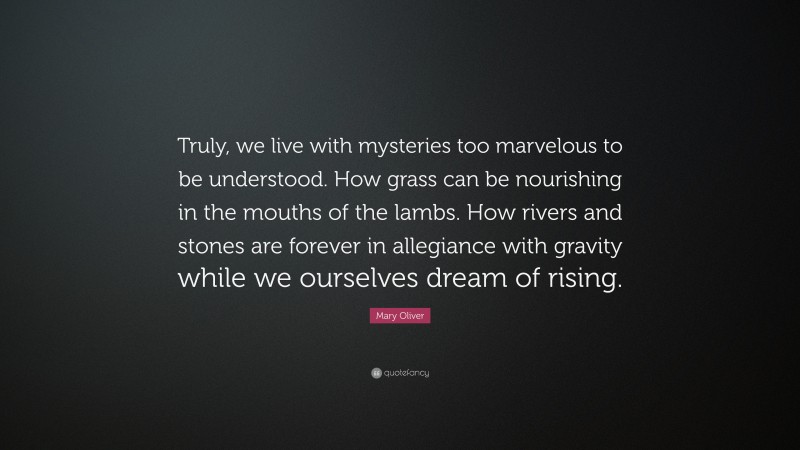 Mary Oliver Quote: “Truly, we live with mysteries too marvelous to be understood. How grass can be nourishing in the mouths of the lambs. How rivers and stones are forever in allegiance with gravity while we ourselves dream of rising.”