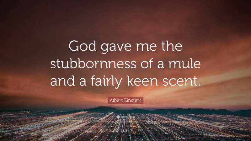 Albert Einstein Quote: “God gave me the stubbornness of a mule and a fairly keen scent.”