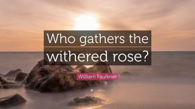 William Faulkner Quote: “Who gathers the withered rose?”