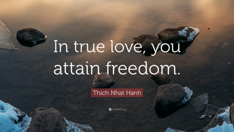 Thich Nhat Hanh Quote: “In true love, you attain freedom.”