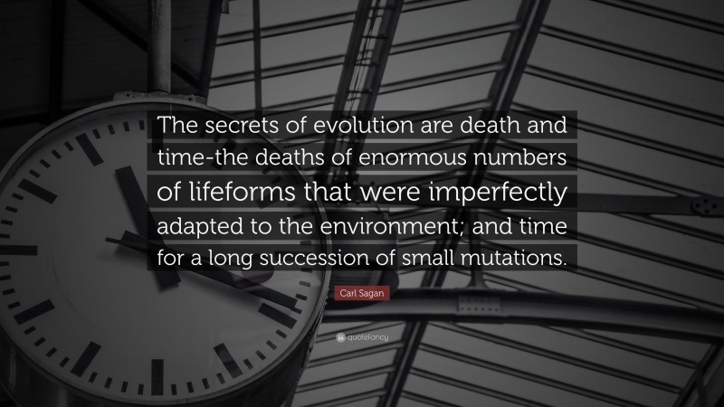 Carl Sagan Quote: “The secrets of evolution are death and time-the deaths of enormous numbers of lifeforms that were imperfectly adapted to the environment; and time for a long succession of small mutations.”