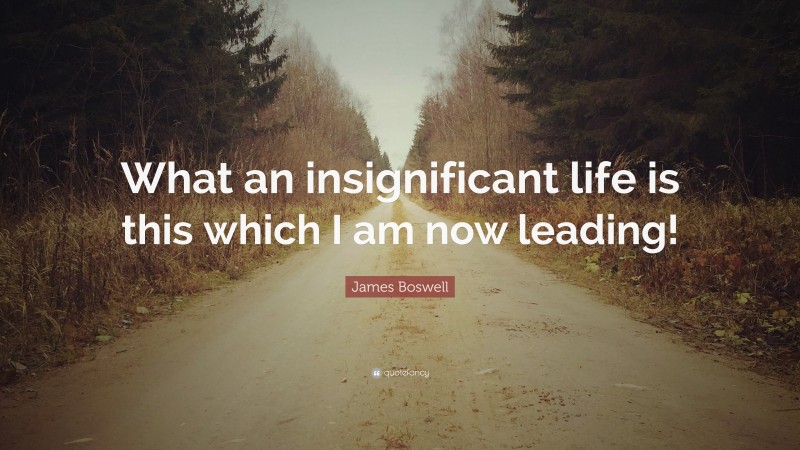 James Boswell Quote: “What an insignificant life is this which I am now leading!”