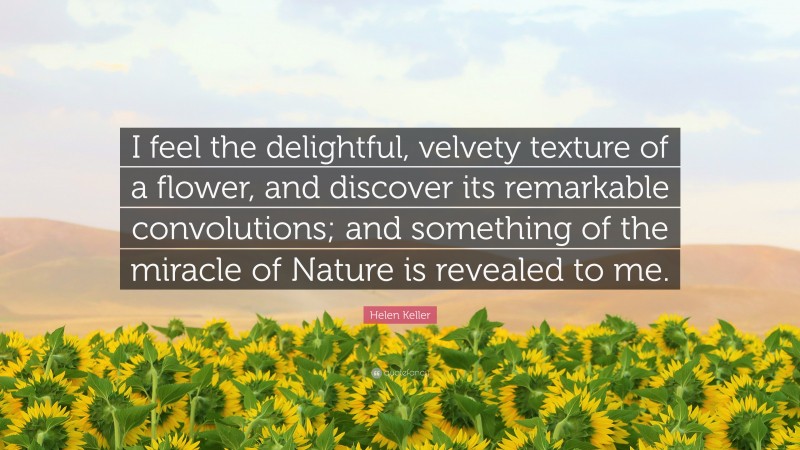 Helen Keller Quote: “I feel the delightful, velvety texture of a flower, and discover its remarkable convolutions; and something of the miracle of Nature is revealed to me.”
