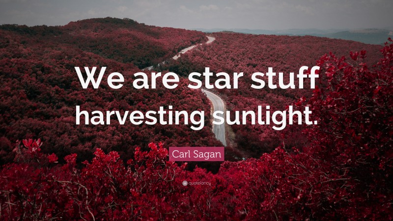 Carl Sagan Quote: “We are star stuff harvesting sunlight.”