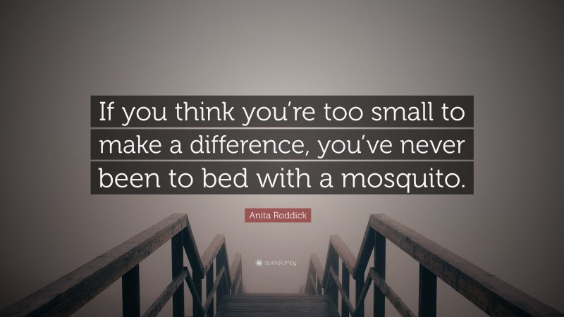 Anita Roddick Quote: “If you think you’re too small to make a difference, you’ve never been to bed with a mosquito.”