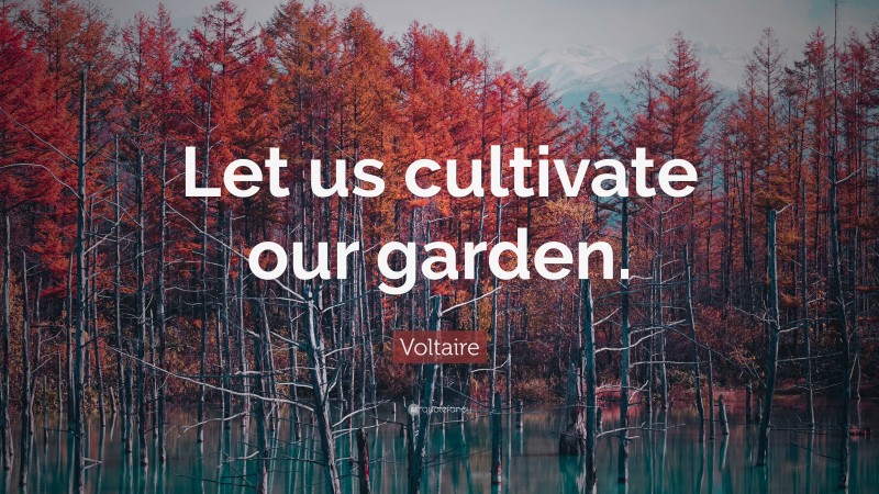 Voltaire Quote: “Let us cultivate our garden.”