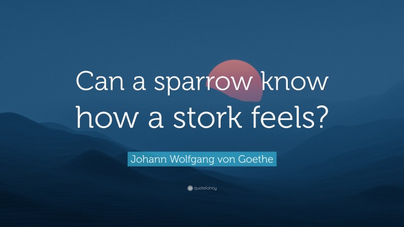 Johann Wolfgang von Goethe Quote: “Can a sparrow know how a stork feels?”