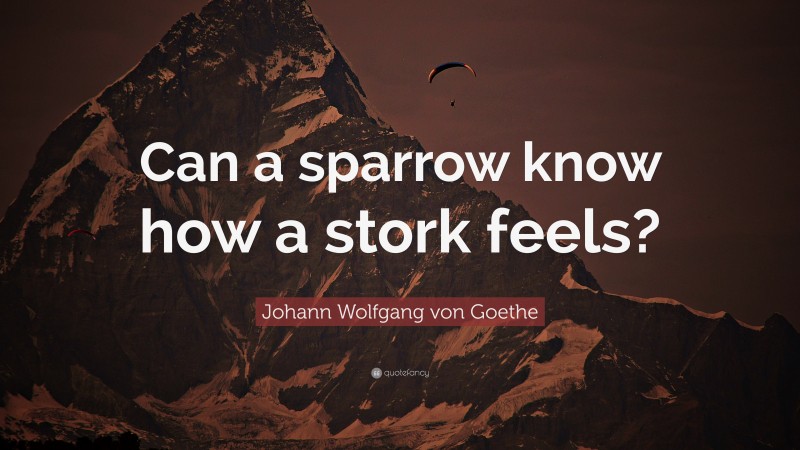 Johann Wolfgang von Goethe Quote: “Can a sparrow know how a stork feels?”