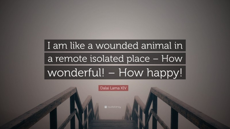 Dalai Lama XIV Quote: “I am like a wounded animal in a remote isolated place – How wonderful! – How happy!”