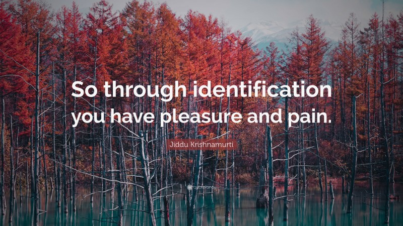 Jiddu Krishnamurti Quote: “So through identification you have pleasure and pain.”