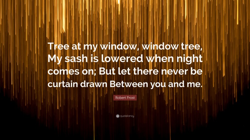 Robert Frost Quote: “Tree at my window, window tree, My sash is lowered when night comes on; But let there never be curtain drawn Between you and me.”