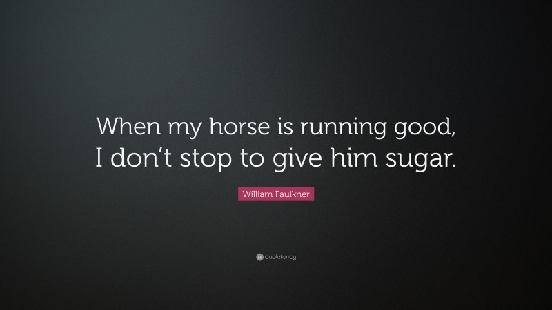 William Faulkner Quote: “When my horse is running good, I don’t stop to give him sugar.”
