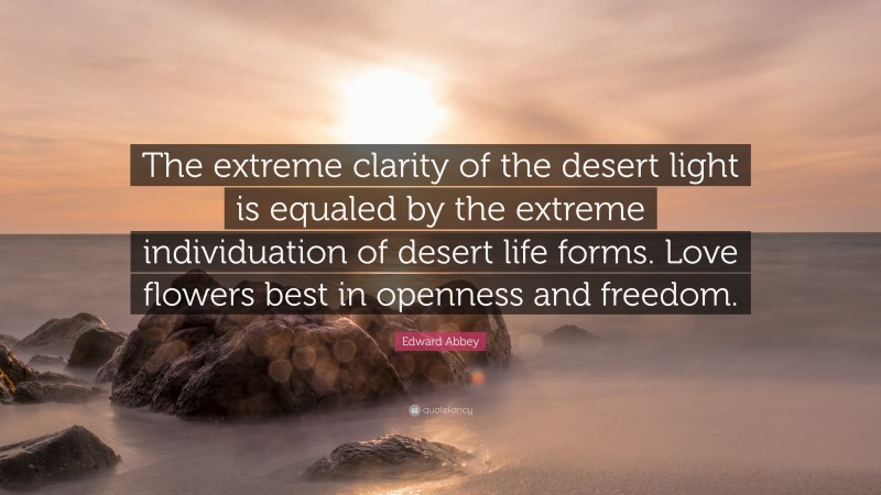 Edward Abbey Quote: “The extreme clarity of the desert light is equaled by the extreme individuation of desert life forms. Love flowers best in openness and freedom.”