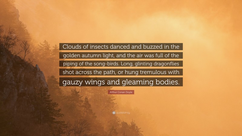 Arthur Conan Doyle Quote: “Clouds of insects danced and buzzed in the golden autumn light, and the air was full of the piping of the song-birds. Long, glinting dragonflies shot across the path, or hung tremulous with gauzy wings and gleaming bodies.”