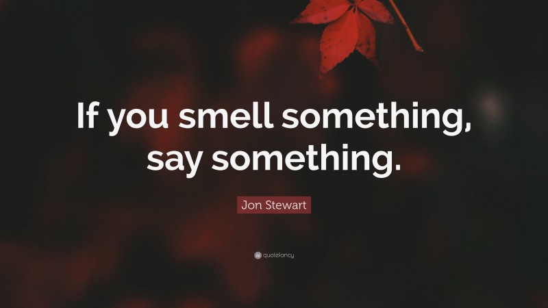 Jon Stewart Quote: “If you smell something, say something.”
