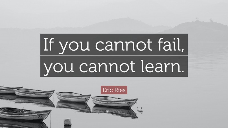 Eric Ries Quote: “If you cannot fail, you cannot learn.”