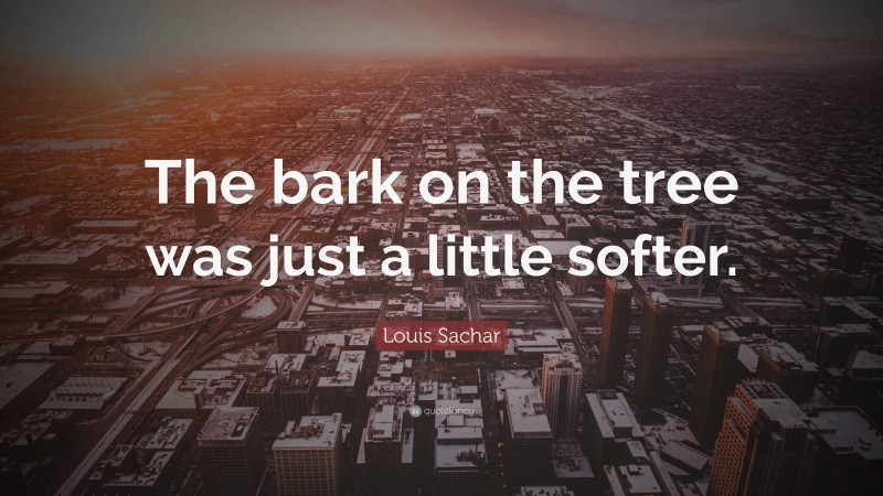 Louis Sachar Quote: “The bark on the tree was just a little softer.”