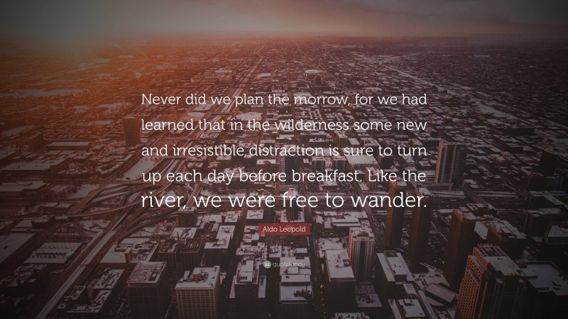 Aldo Leopold Quote: “Never did we plan the morrow, for we had learned that in the wilderness some new and irresistible distraction is sure to turn up each day before breakfast. Like the river, we were free to wander.”