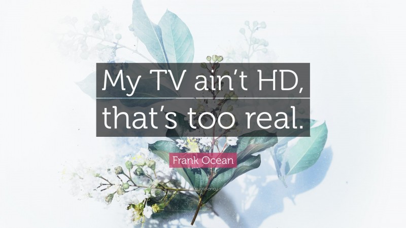 Frank Ocean Quote: “My TV ain’t HD, that’s too real.”