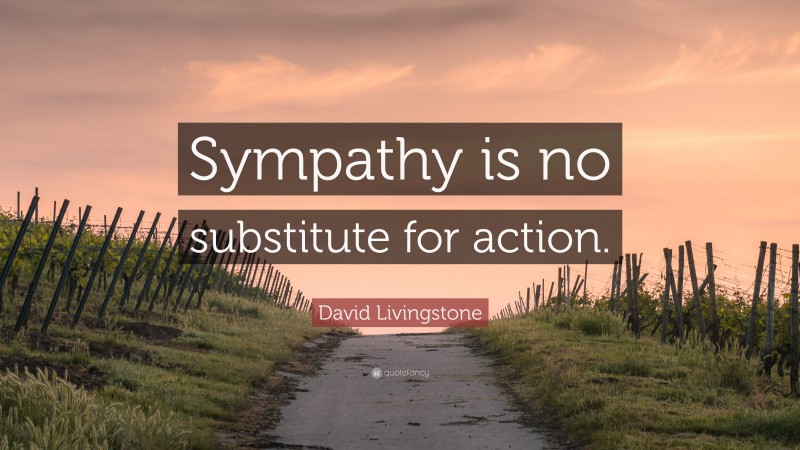 David Livingstone Quote: “Sympathy is no substitute for action.”