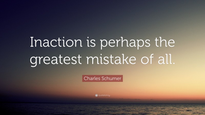 Charles Schumer Quote: “Inaction is perhaps the greatest mistake of all.”