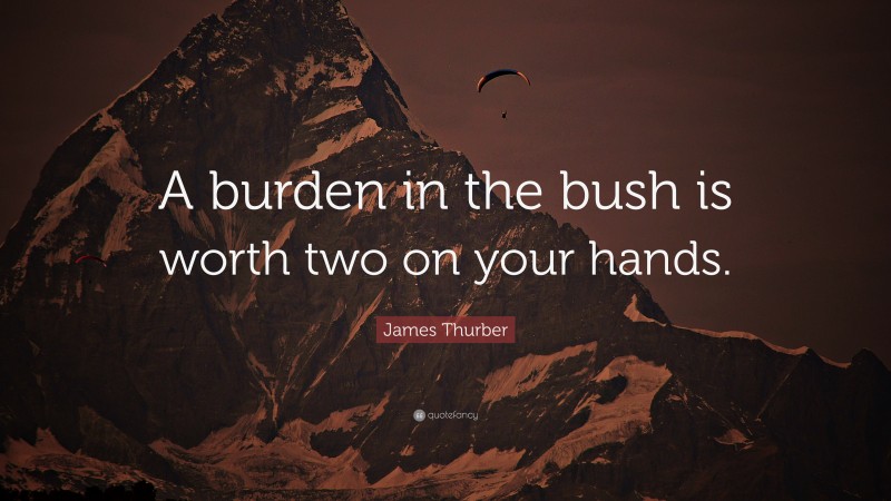James Thurber Quote: “A burden in the bush is worth two on your hands.”