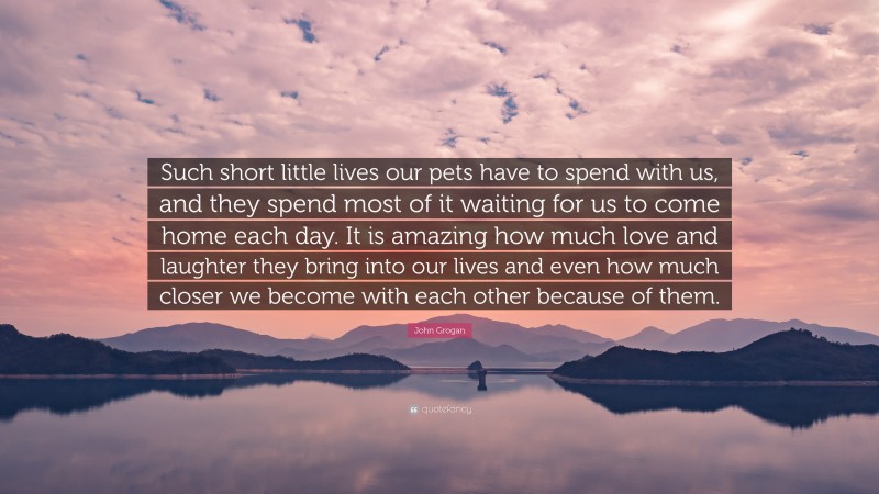 John Grogan Quote: “Such short little lives our pets have to spend with us, and they spend most of it waiting for us to come home each day. It is amazing how much love and laughter they bring into our lives and even how much closer we become with each other because of them.”