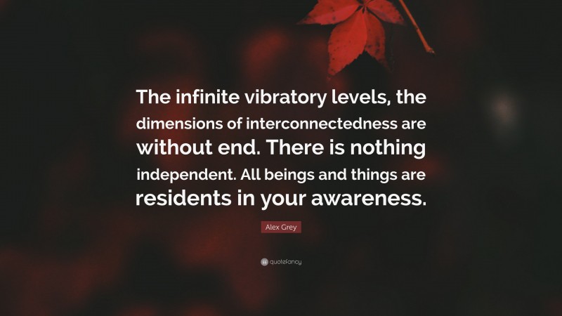 Alex Grey Quote: “The infinite vibratory levels, the dimensions of interconnectedness are without end. There is nothing independent. All beings and things are residents in your awareness.”