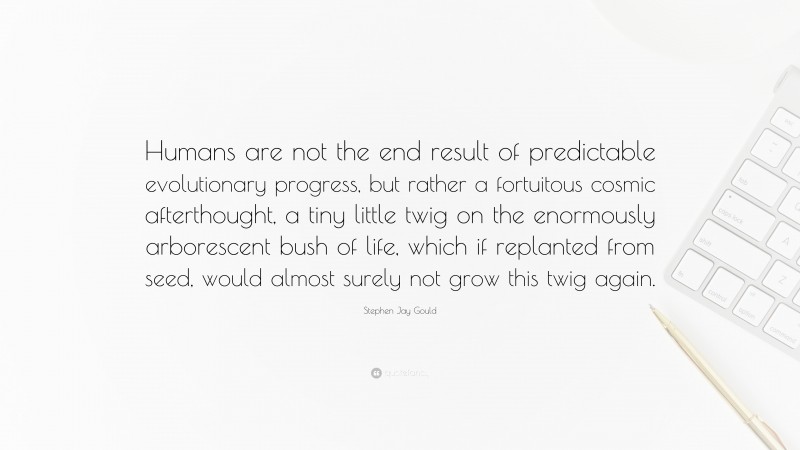Stephen Jay Gould Quote: “Humans are not the end result of predictable evolutionary progress, but rather a fortuitous cosmic afterthought, a tiny little twig on the enormously arborescent bush of life, which if replanted from seed, would almost surely not grow this twig again.”