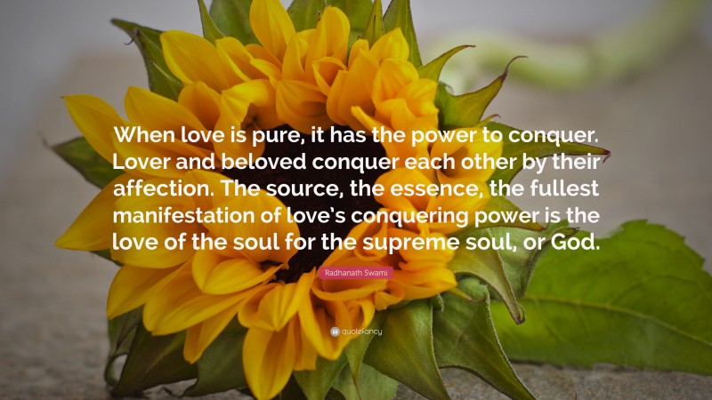 Radhanath Swami Quote: “When love is pure, it has the power to conquer. Lover and beloved conquer each other by their affection. The source, the essence, the fullest manifestation of love’s conquering power is the love of the soul for the supreme soul, or God.”