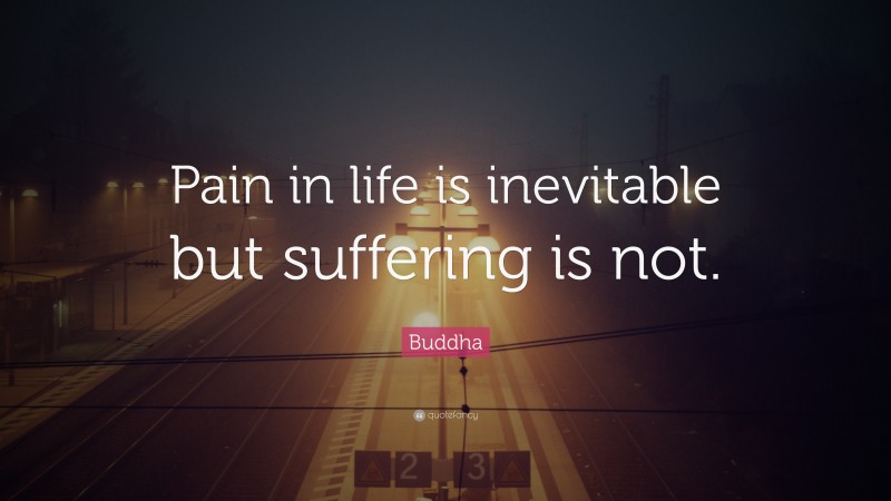 Buddha Quote: “Pain in life is inevitable but suffering is not.”
