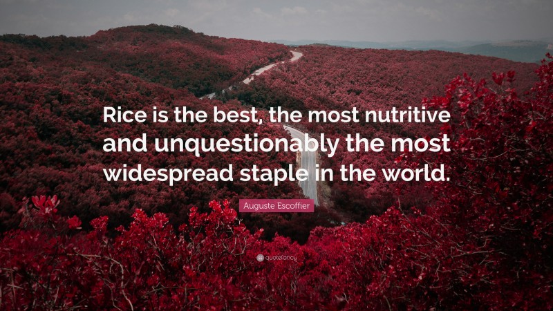 Auguste Escoffier Quote: “Rice is the best, the most nutritive and unquestionably the most widespread staple in the world.”