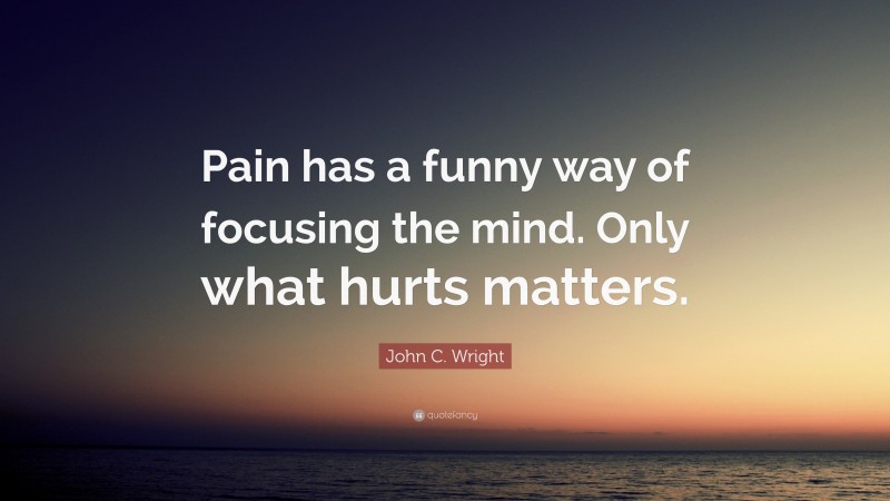 John C. Wright Quote: “Pain has a funny way of focusing the mind. Only what hurts matters.”