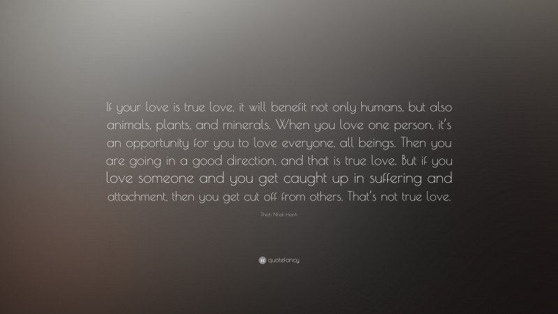 Thich Nhat Hanh Quote: “If your love is true love, it will benefit not only humans, but also animals, plants, and minerals. When you love one person, it’s an opportunity for you to love everyone, all beings. Then you are going in a good direction, and that is true love. But if you love someone and you get caught up in suffering and attachment, then you get cut off from others. That’s not true love.”